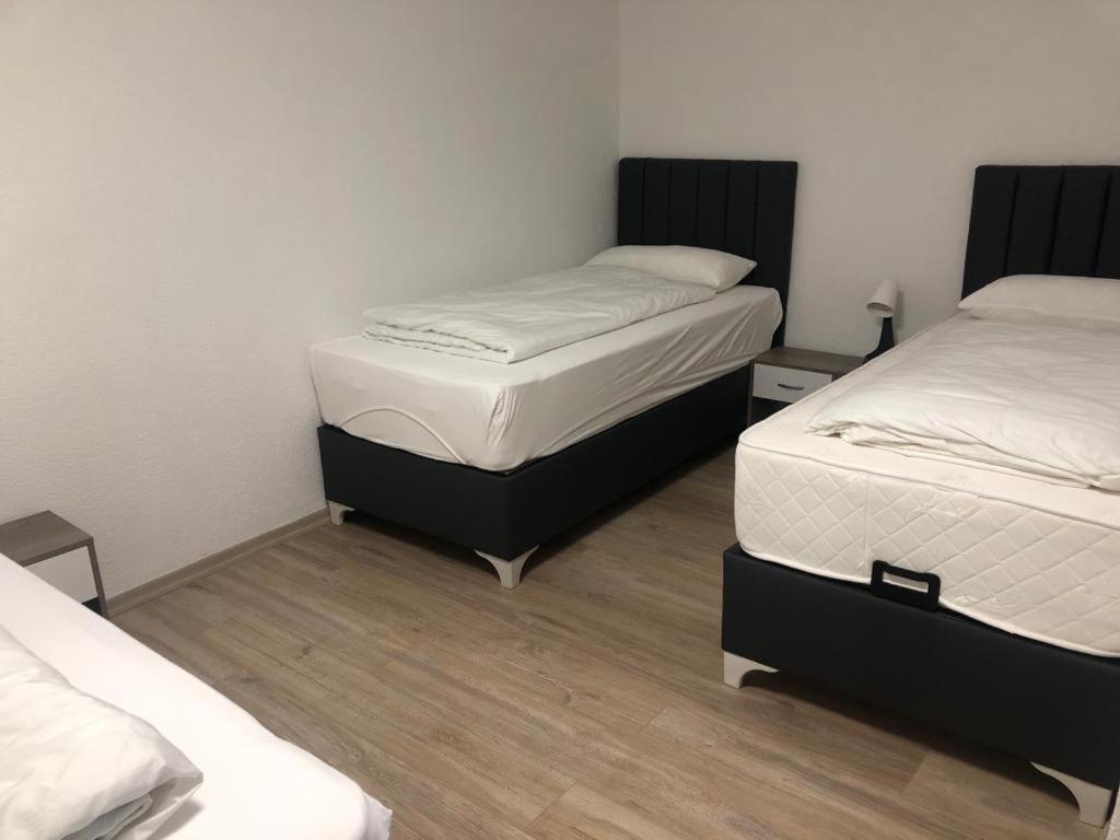Erbacher Ferienwohnung 2 Erbach an der Danau Eksteriør bilde